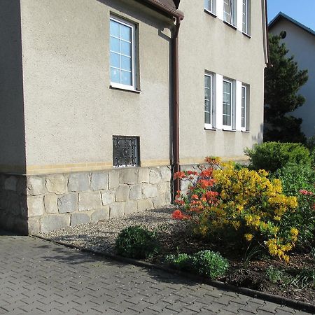 Penzion D Vikýřovice Екстериор снимка